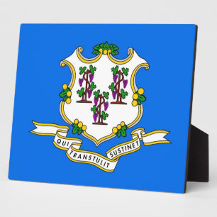 Plaque indicateur d'état du Connecticut