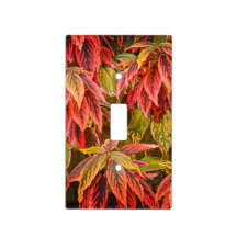 Couvercle du commutateur "Motif feuilleté"