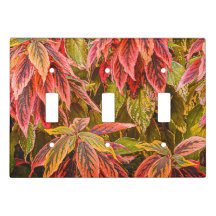 Couvercle du commutateur "Motif feuilleté"