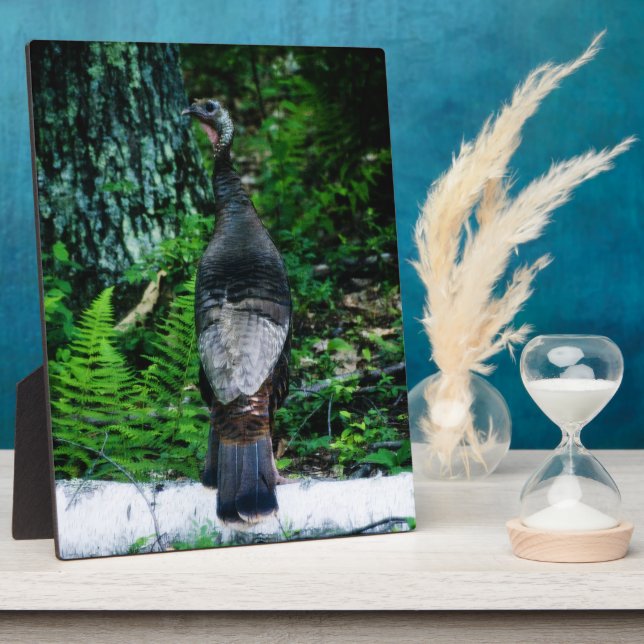 Plaque Mère Turquie (Côté)