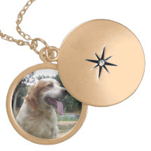 Collier photo Pet Memorial