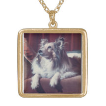 Collier photo Pet Memorial
