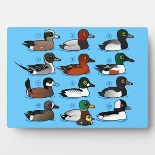 Plaque Photo 12 Canards