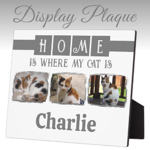 Plaque Photo 3 animal animal photo collage blanc gris