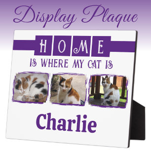 Plaque Photo 3 animal animal photo collage blanc violet