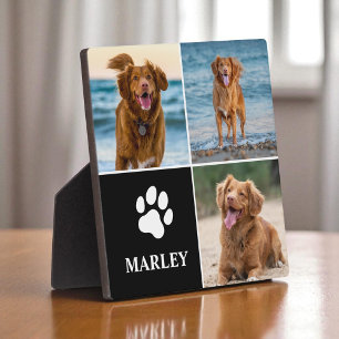 Plaque Photo 3 Collage Photo Chiens Amoureux Animaux Domestique