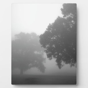 Plaque Photo 3arbres