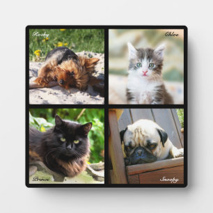 Plaque Photo 4 photos de chats en collage Mémorial sur fond noi