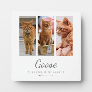 Plaque Photo À jamais dans mon cœur Cadeau commémoratif pour an