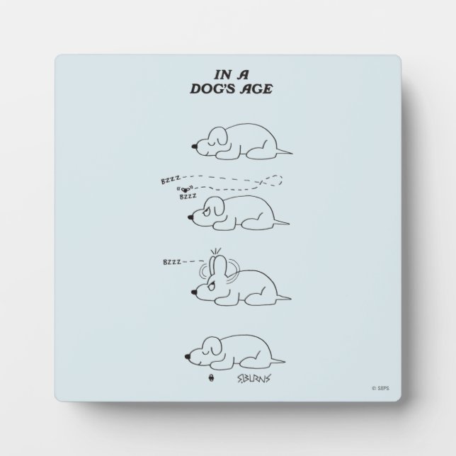 Plaque Photo À l'âge d'un chien (Devant)