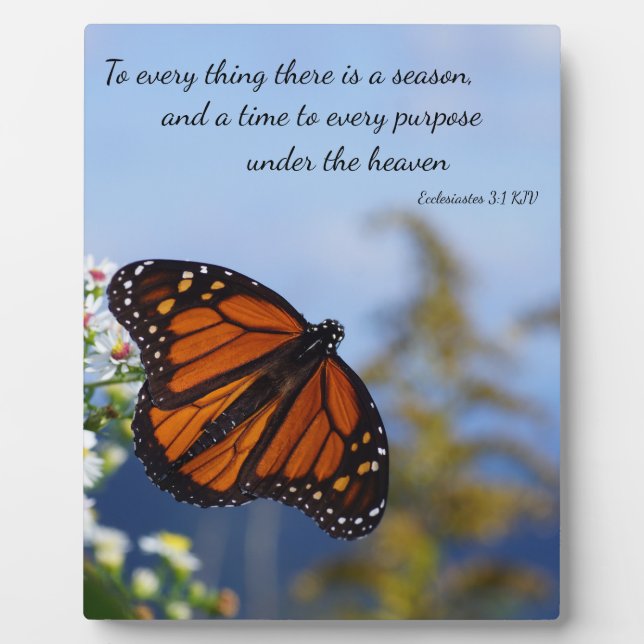 Plaque Photo À tout Il y a une saison (Devant)