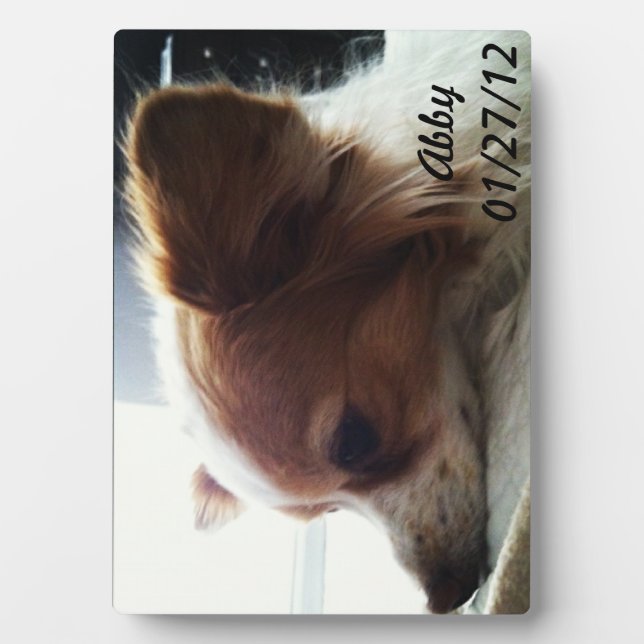 Plaque Photo Abby 2012 (Devant)