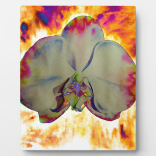 Plaque Photo Abstraite peinture d'orchidée tropicale fleurie