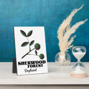 Plaque Photo Affiche de voyage Sherwood Forest Angleterre