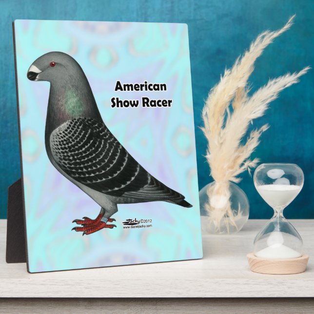 Plaque Photo Afficher l'ASR racer (Côté)