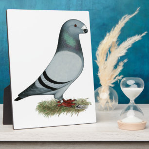 Plaque Photo Afficher le concept Racer