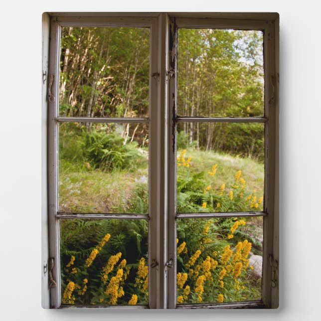 Plaque Photo Afficher par l'ancienne fenêtre (Devant)