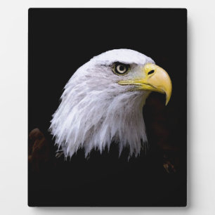 Plaque Photo Aigle