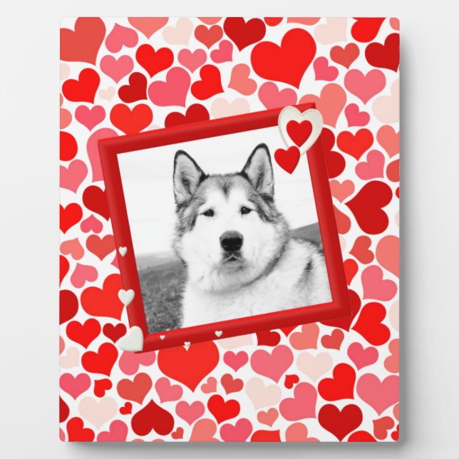 Plaque Photo Alaskan Malamute Chien Valentines Coeur (Devant)