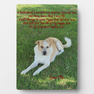 Plaque Photo Amour de chiot