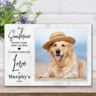 Plaque Photo Amoureux des chiens Mon soleil Photo de compagnie 