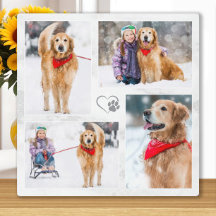 Plaque Photo Amoureux des chiens Personnalisé Moderne Animaux d