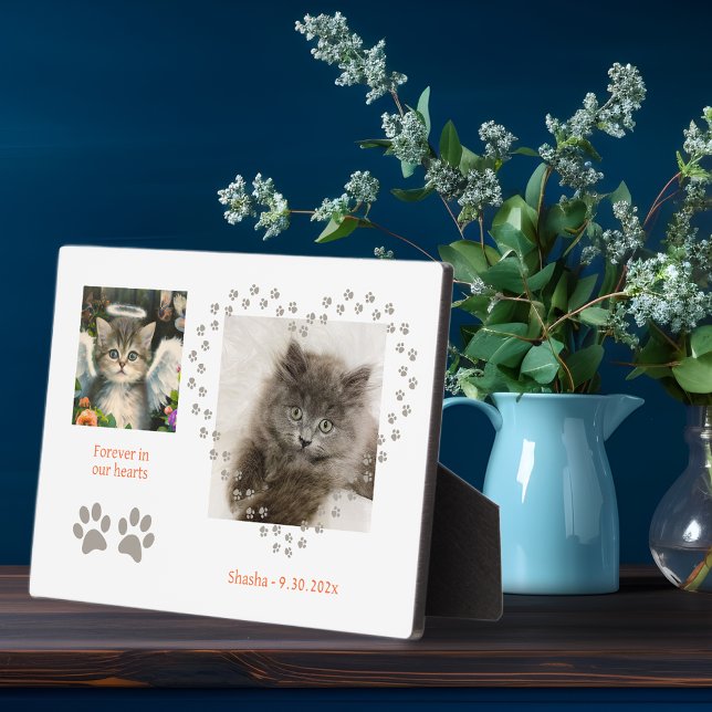 Plaque Photo Angel Cute Soft Kitten (Créateur téléchargé)