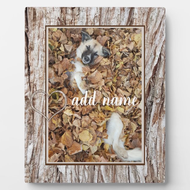 Plaque Photo animal de compagnie photo collage moderne (Devant)