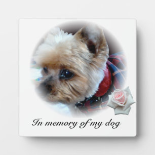 Plaque Photo Animaux de compagnie