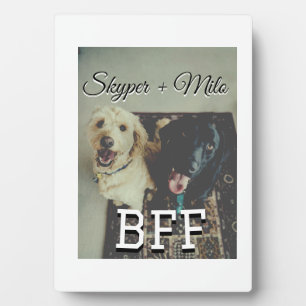 Plaque Photo Animaux de compagnie amis besties ajouter nom anim
