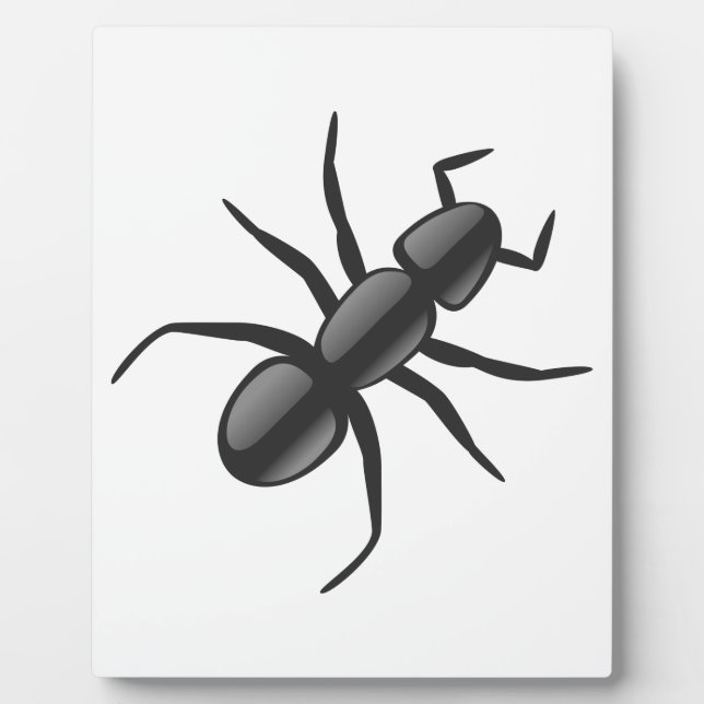 Plaque Photo Ant (Devant)