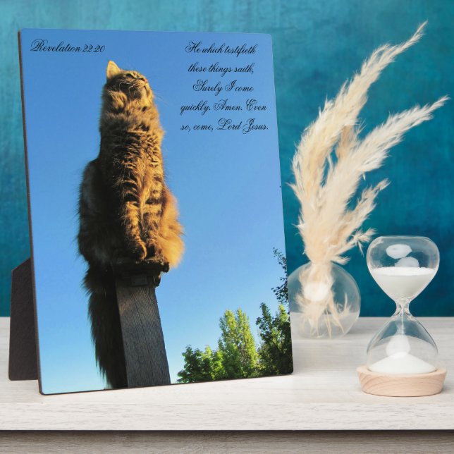 Plaque Photo Apocalypse 22:20 Chat En Attente De Jésus (Côté)