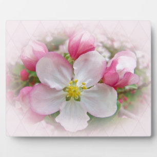 Plaque Photo Apple Blossom Time