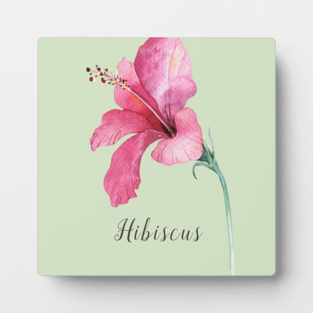 Plaque Photo Aquarelle rose Hibiscus (Devant)
