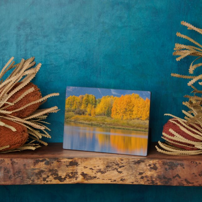 Plaque Photo Arbres d'Aspen couleur d'automne (Côté)