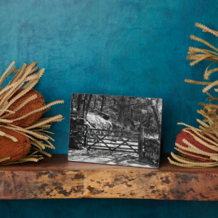 PLAQUE PHOTO ARBRES NOIRS ET BLANCS ET PORTE