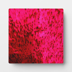 Plaque Photo Argile de fraise