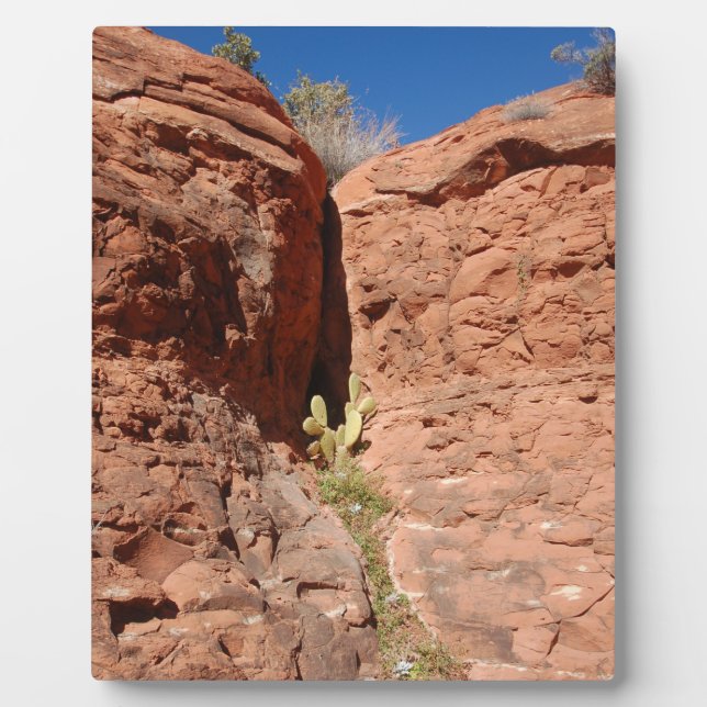 Plaque Photo Arizona Red Rocks Paysage Photo (Devant)