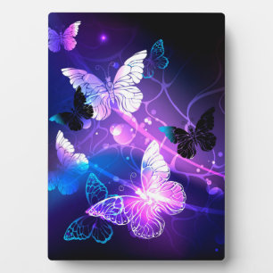 Plaque Photo Arrière - plan avec papillons de nuit
