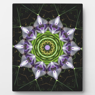 Plaque Photo Art de kaléidoscope de mandala floral pourpre