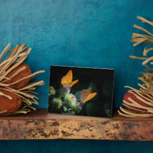 Plaque Photo Art Décor Plaque-papillons