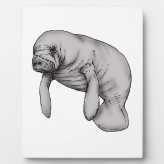 Plaque Photo art manatee