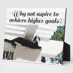 Plaque Photo Aspect vers des objectifs supérieurs Chat motivati