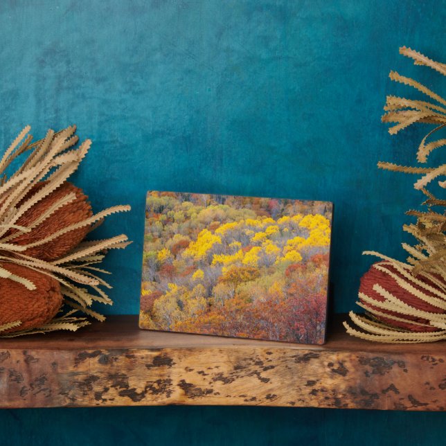 Plaque Photo Automne dans le Michigan (Côté)