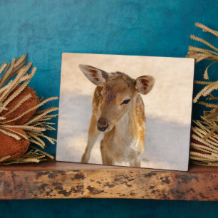 Plaque Photo Baby Deer