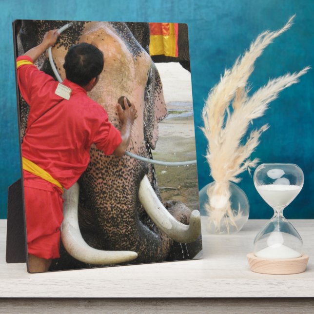 Plaque Photo Bain Eléphant ... Ayutthaya, Thaïlande (Côté)