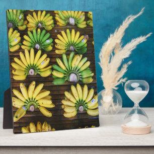 Plaque Photo Bananes dame de doigt ~ Banane d'oeuf (ก ล้ ว ย ไ