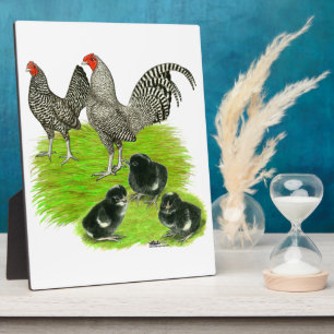 Plaque Photo Barred Bantam Family