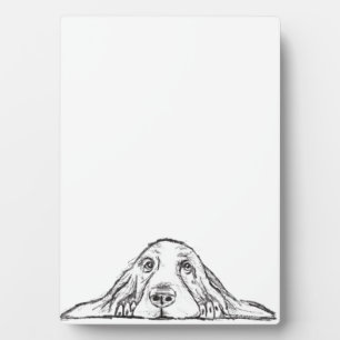 Plaque Photo basset blanc