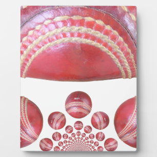 Plaque Photo Beautiful Cricket Ball Art Design